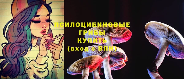 шишки Абдулино