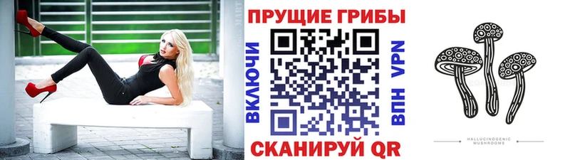 даркнет сайт  Шарыпово  Галлюциногенные грибы мухоморы 
